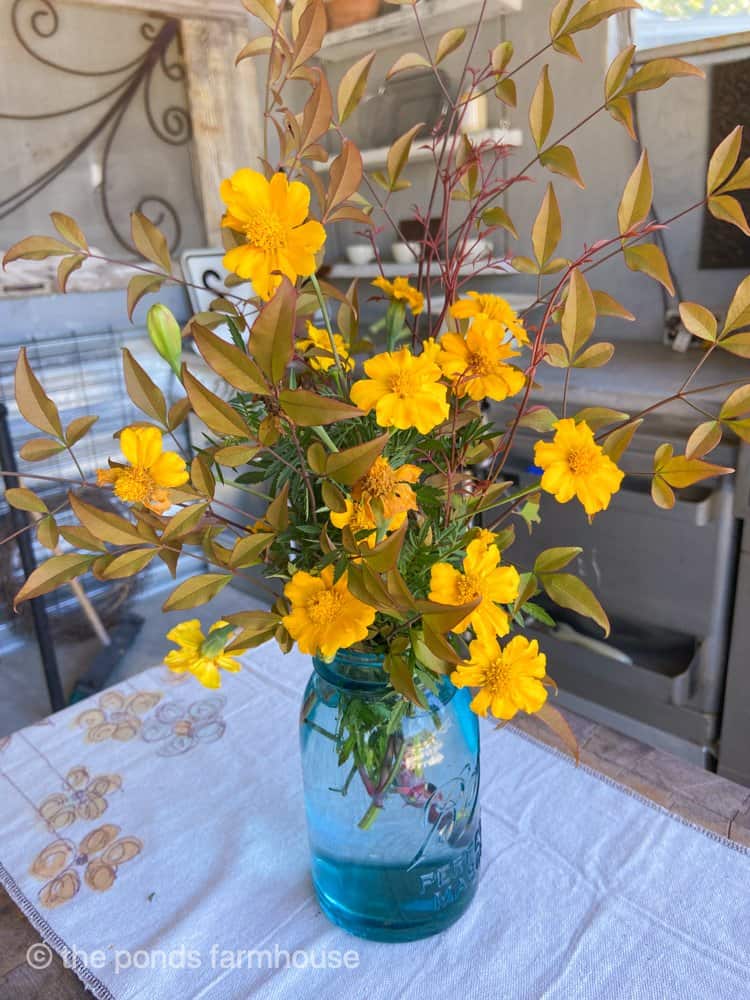 Vintage blue canning jar with gathered yellow flowers.