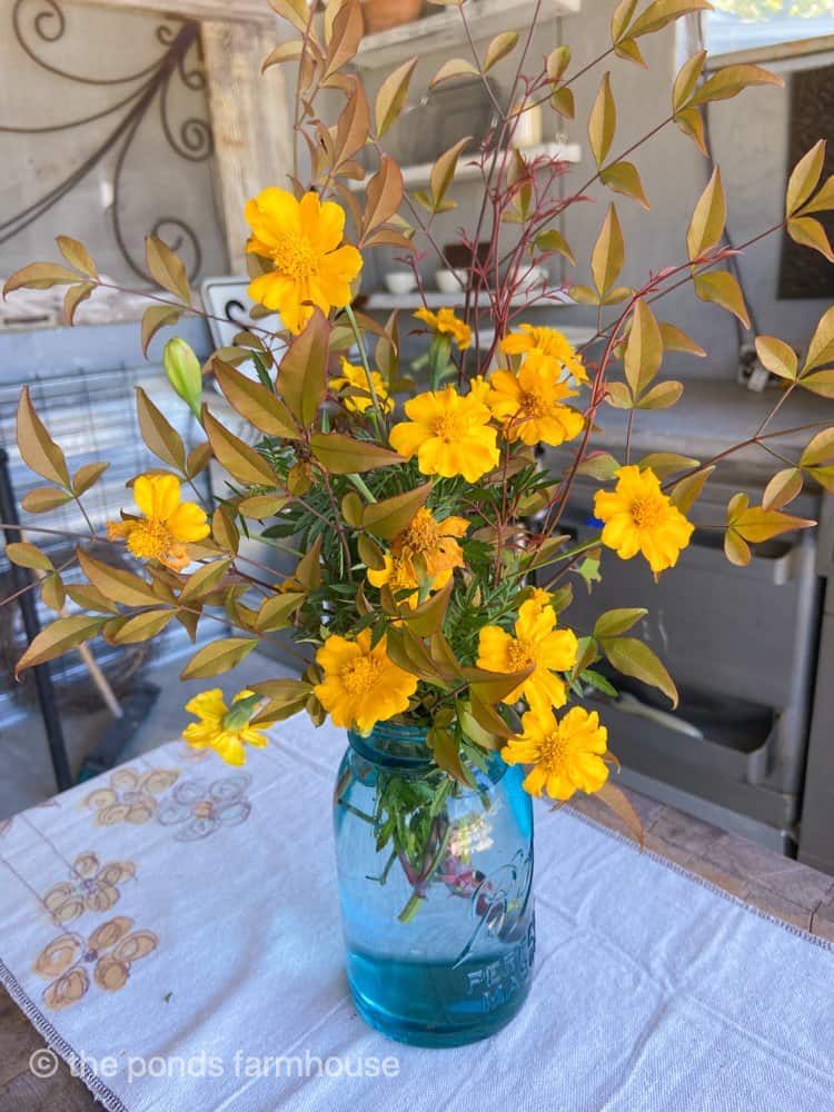 Garden flowers in outdoor kitchen 