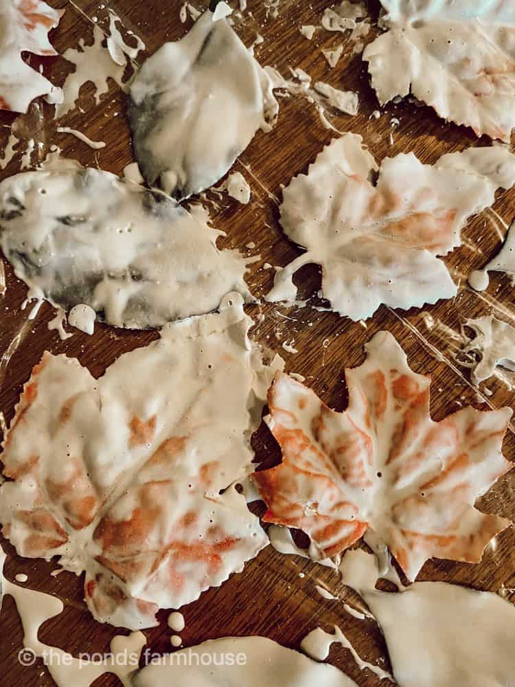Plaster of Paris on artificial leaves for fall craft projects.
