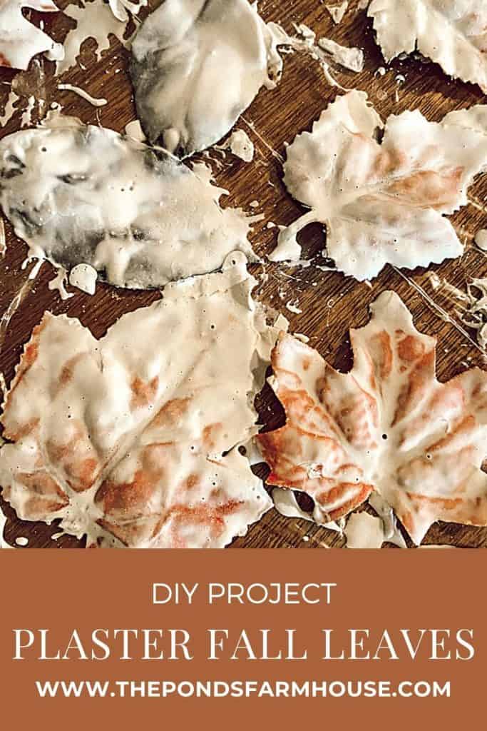 DIY Fall Plaster Leaves for fall craft projects