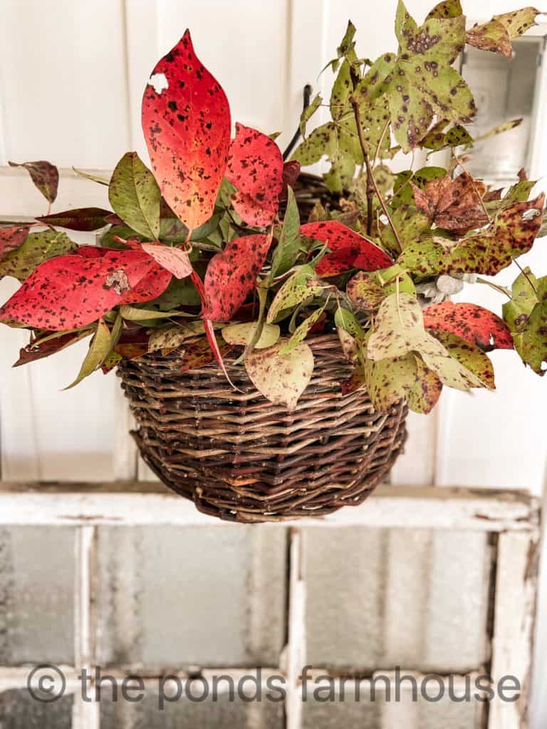 Autumn Decor using fall foliage for Farmhouse decor.  