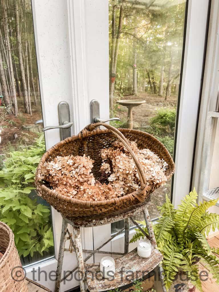 Autumn Decor with Elements of Nature. Dried hydrangeas. 