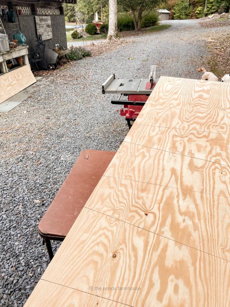 Plywood to cut out tree and plant container