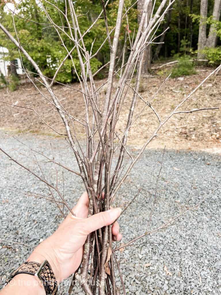 How to Upcycle Tin Cans with Foraged Twigs