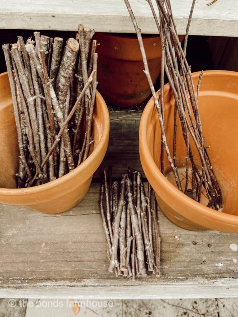 Gathered Twig from yard, cut to length, ready to adhere to tin cans. 