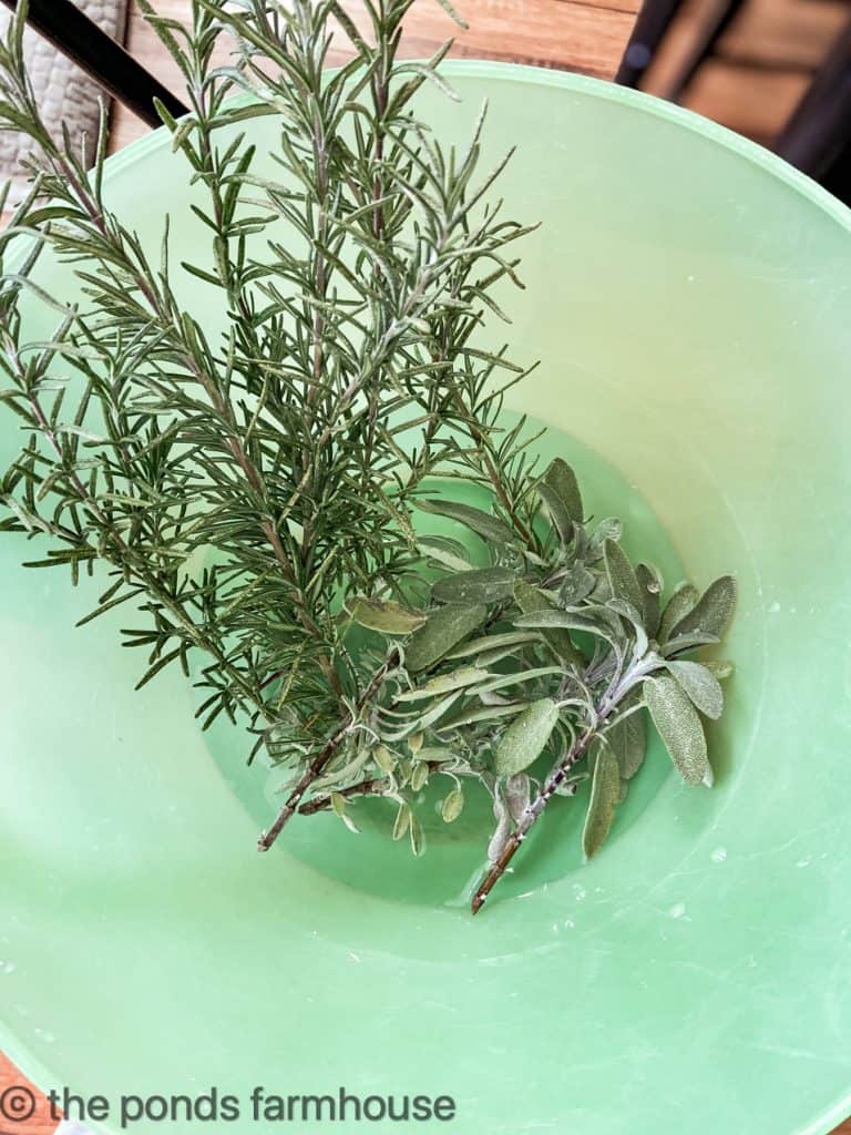 Soak fresh evergreen in water so they will last longer