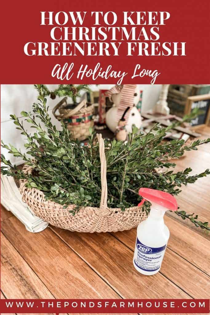 How to Keep Christmas Greenery Fresh all Holiday long.  Free Christmas Decorating ideas.