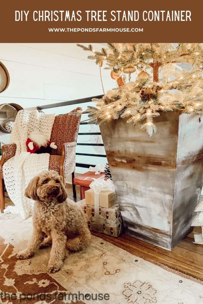 Faux metal planter with Christmas decorations. Mini Golden Doodle.