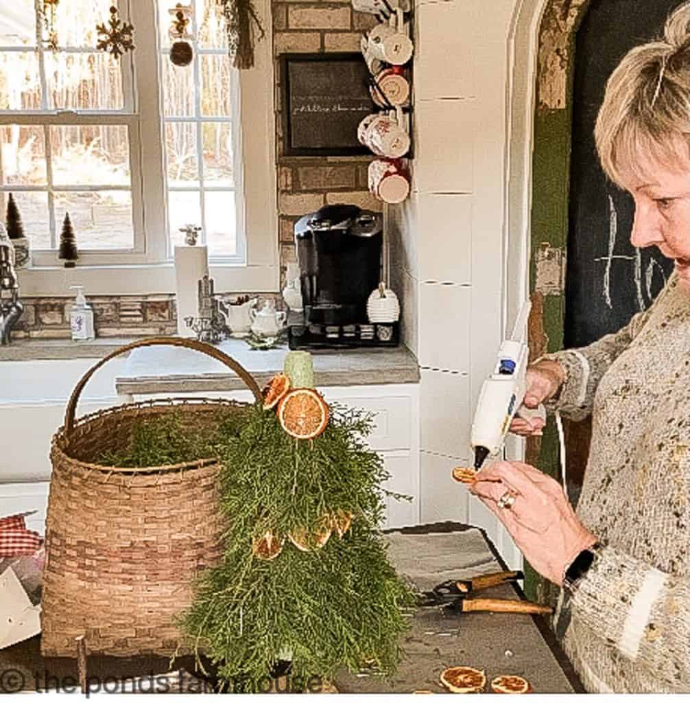 Use hot glue to attach the dried oranges to the cedar topiaries.