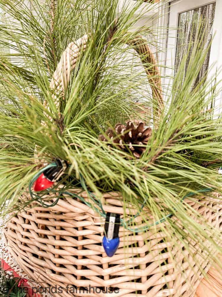 Thrifted basket filled with pine needles and vintage Christmas lights