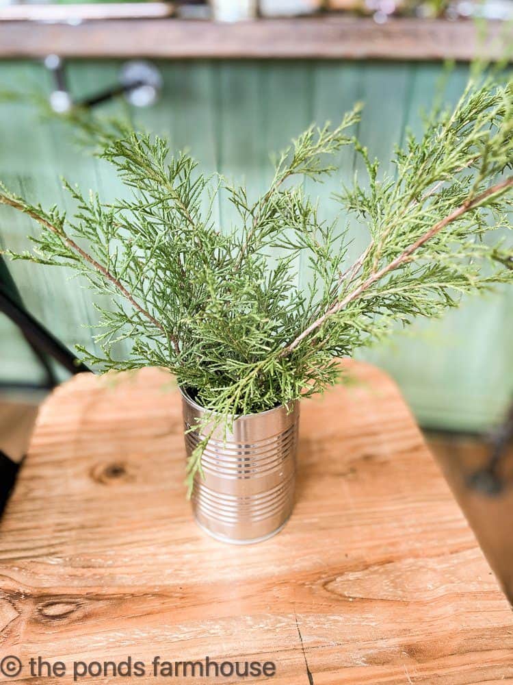 Tin can with foraged greenery.  Place fresh greenery in water to keep it hydrated. 