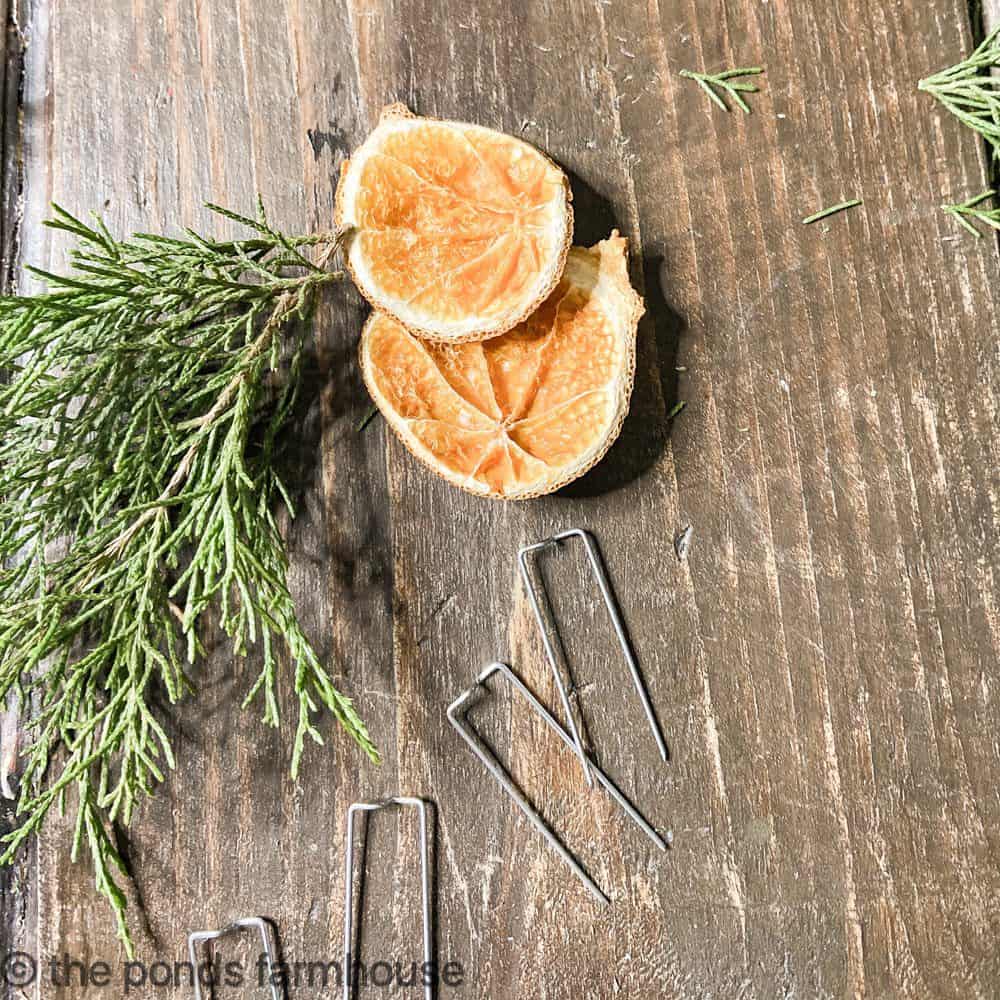 Cedar, dried orange slices and floral picks to make topiaries.