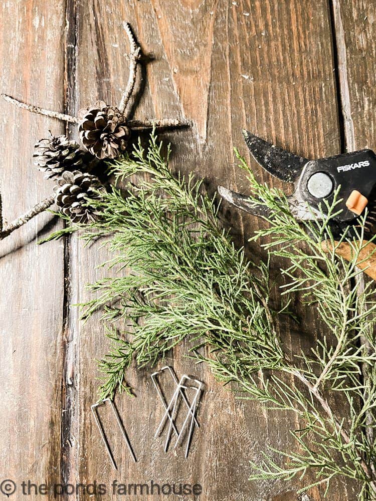 Materials for the top of topiaries.  Cedar and pinecones.  