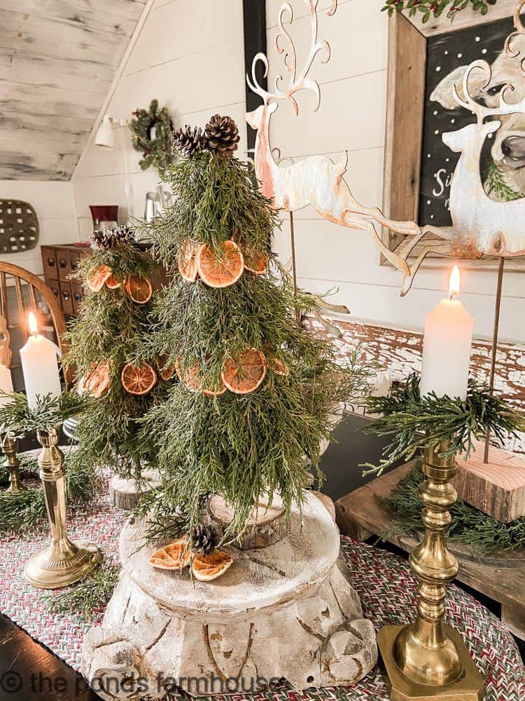 Christmas Craft Idea using real cedar and dried oranges to make holiday topiaries and table decor