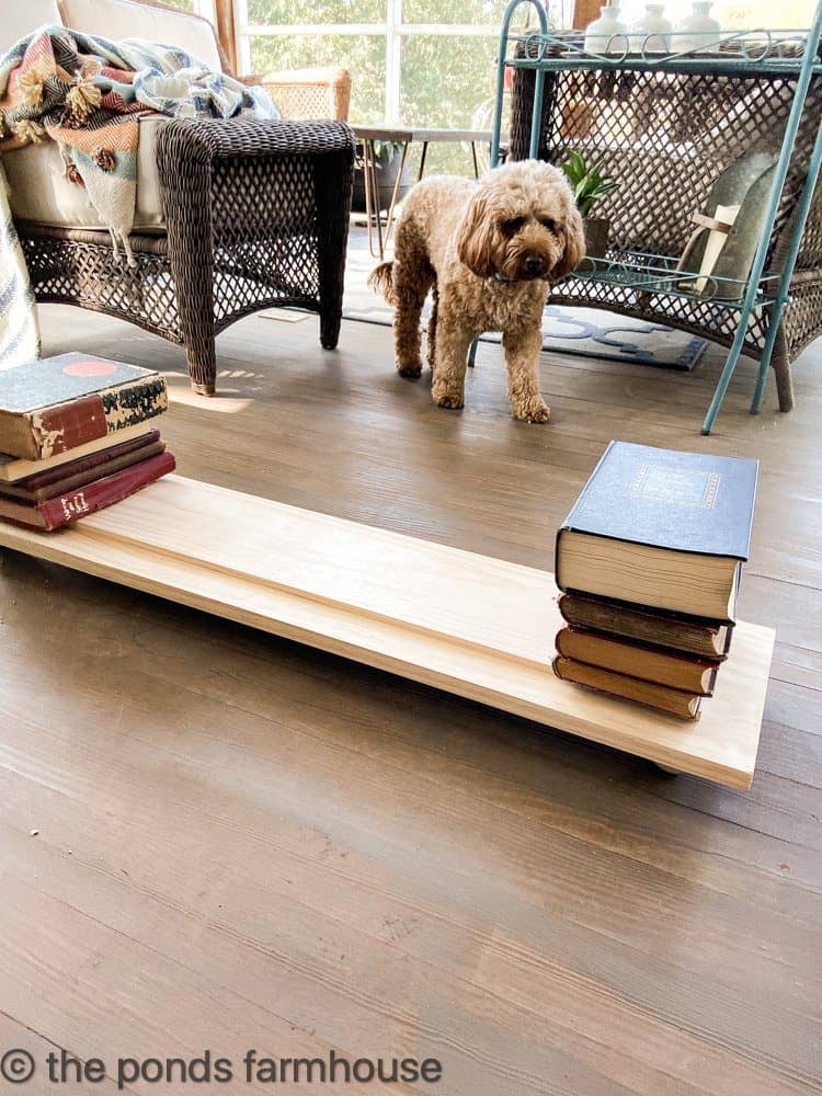 Rudy looking at the books weighting the DIY Table Riser down.  Long Farmhouse Table Riser