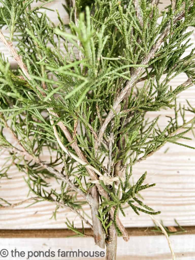 Tie bundle of fresh cedar together to make garland