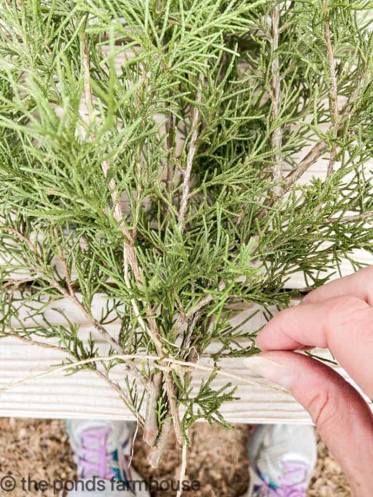 Tie bundle of fresh cedar together to make garland