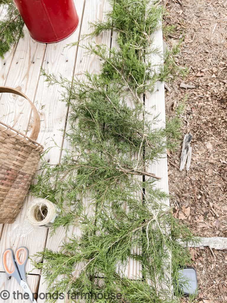 Tie bundle of fresh cedar together to make garland