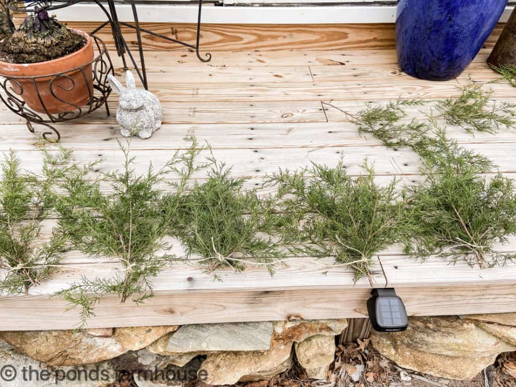 Fresh Cedar to make a garland