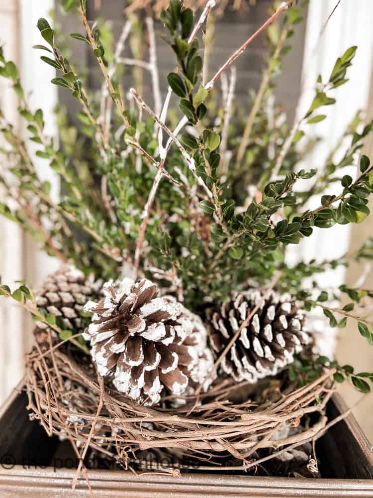 Add foraged twigs and pinecones with fresh boxwood evergreens to Winter Outdoor Planters.