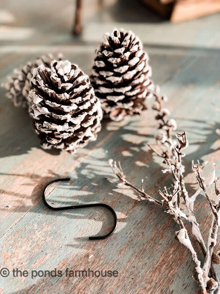 Add fake snow to twigs and pinecones to use on front porch in winter