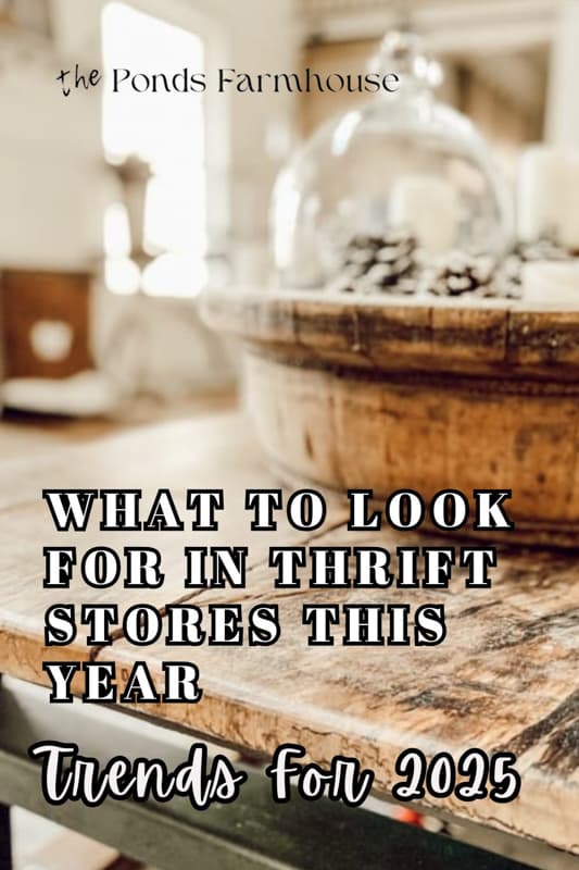 What to look for in Thrift Stores This Year!
