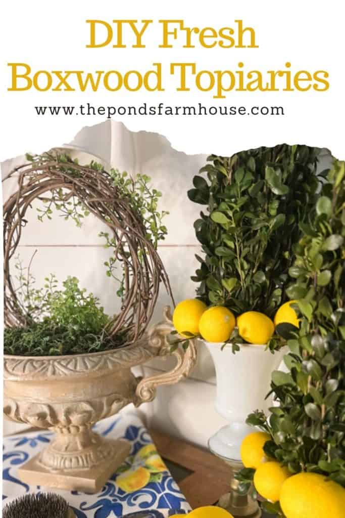 How To Make DIY Fresh Boxwood Topiaries with faux lemons for an Italian Tablescape.