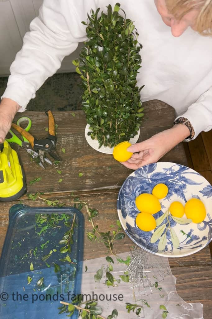 Use Hot Glue to add Lemons to the Boxwood Topiaries