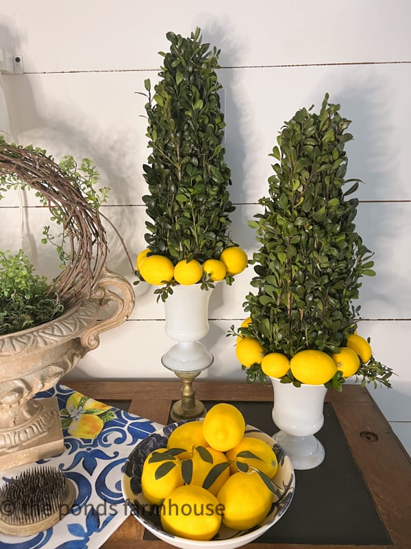DIY Grapevine Topiary with DIY Boxwood and Lemon Topiaries