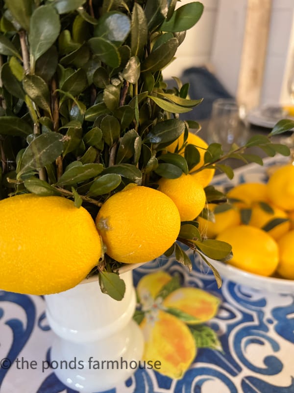 How to Make Fresh Boxwood Topiaries with lemons. DIY Topiary Project for Spring