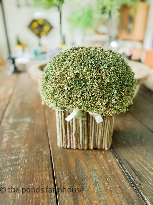 How Long will Preserved Moss last - this topiary is over 20 years old and looks great.