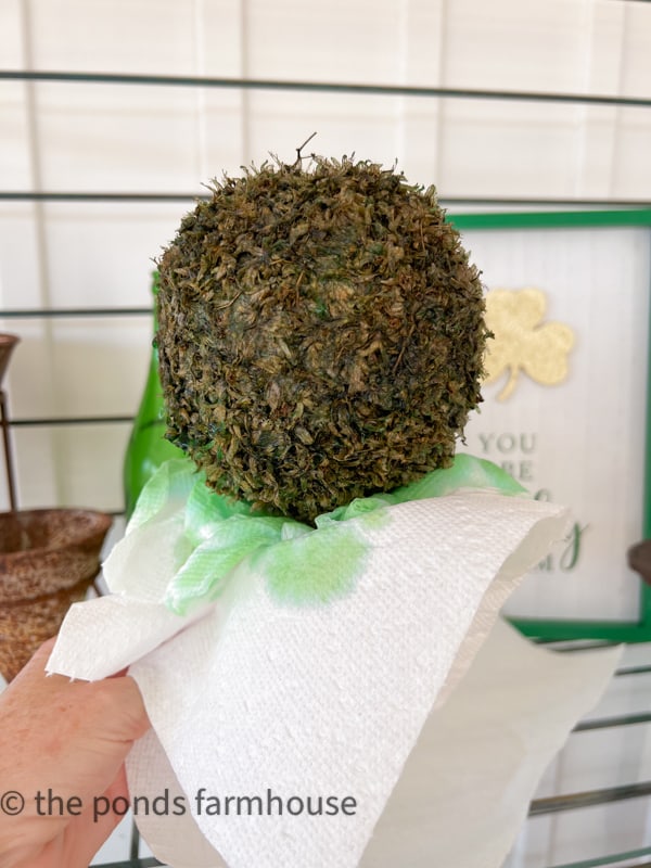 6 Preserved Moss Ball