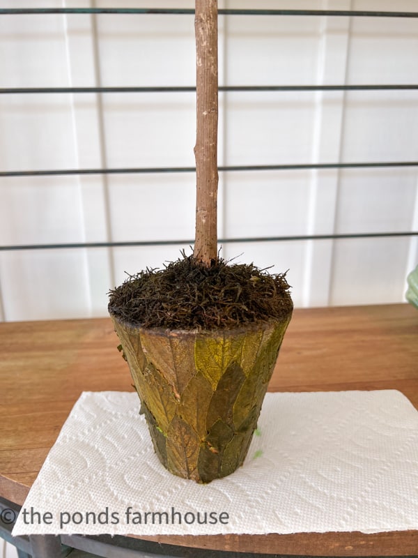 Leaves covering clay pot are revived and look new with green food coloring.