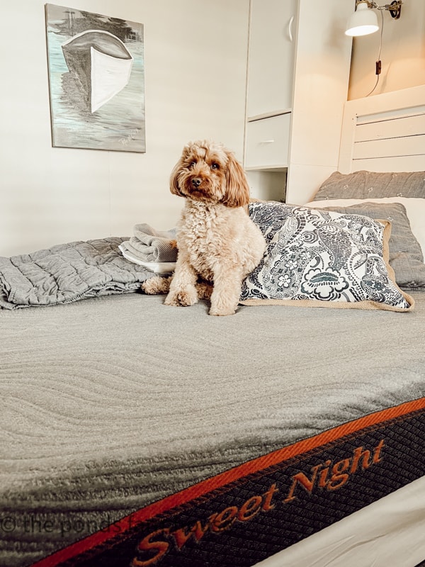Sweet Night Mattress for beach cottage - Rudy approved in tiny house.