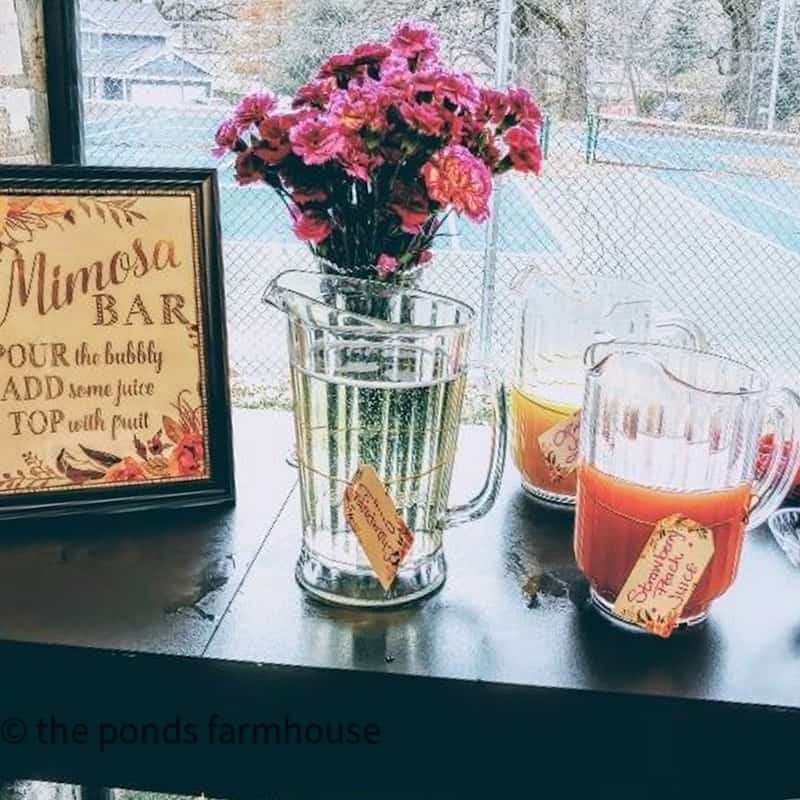 Mimosa Bar with Best Mimosa Recipes