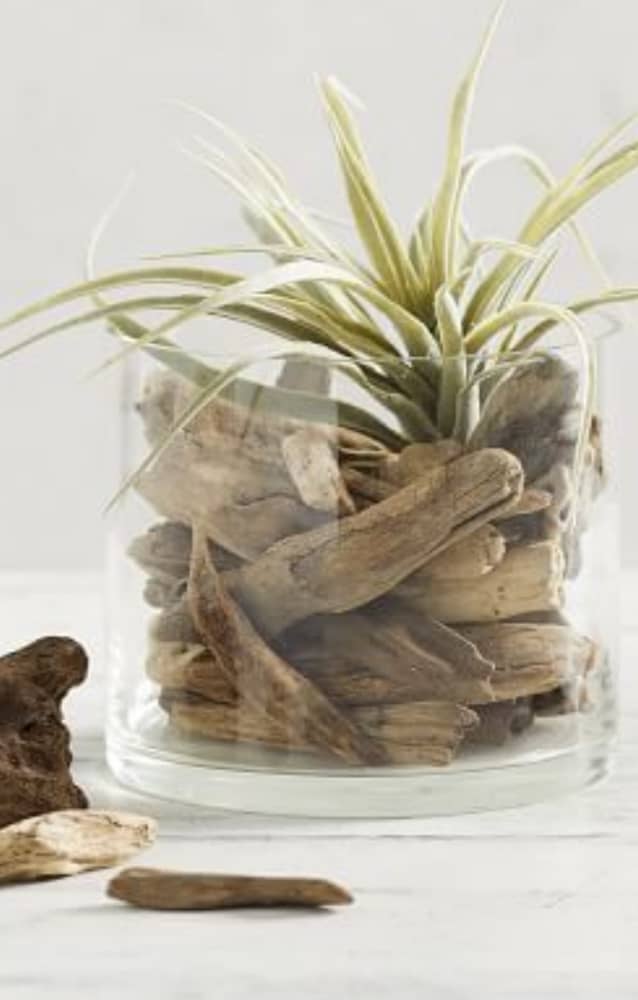 Pottery Barn driftwood arrangement. 