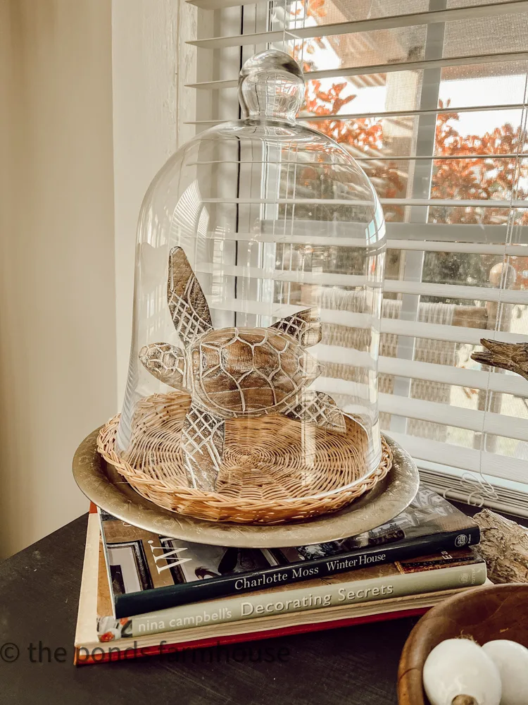 Inspiring Ways To Decorate with Glass Cloche Domes. Sea turtles under glass dome.