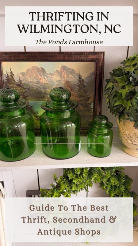 Thrifting In Wilmington, NC Guide to The Best Thrift, Secondhand and Antique shops