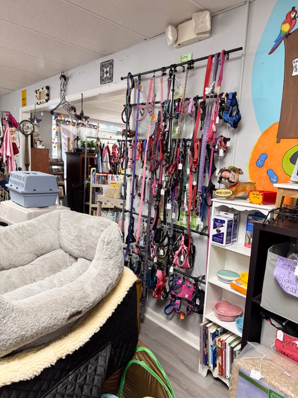 inventory of pet supplies at PAW's Resale Shoppe