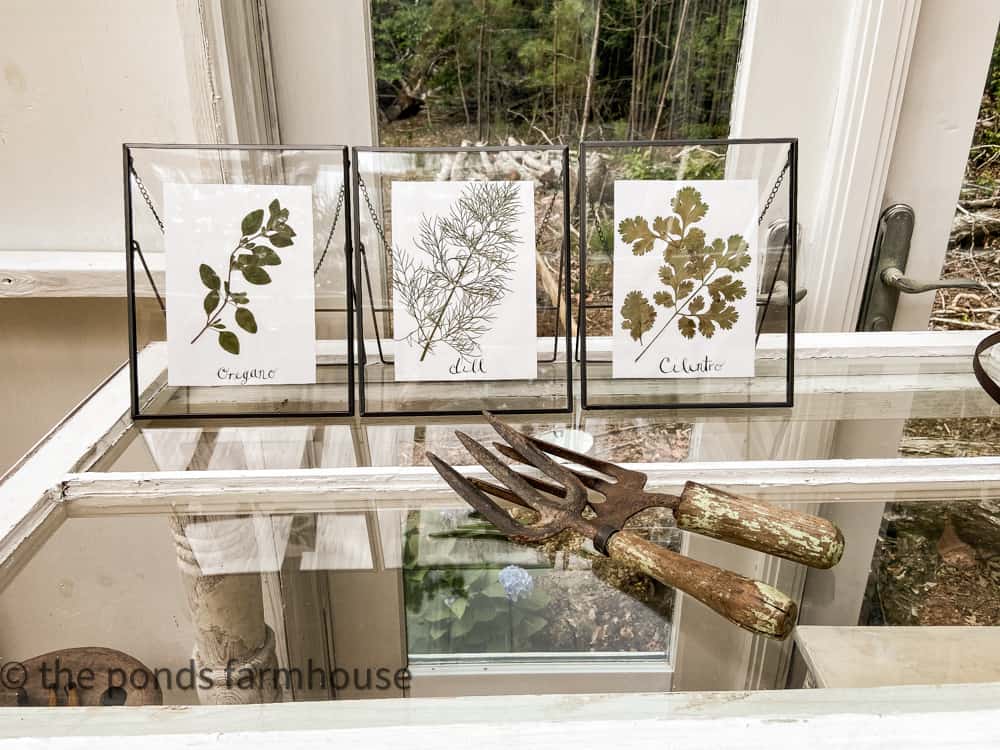 Best herbs to plant to create botanical art.  Press herbs to preserve them and frame for art.