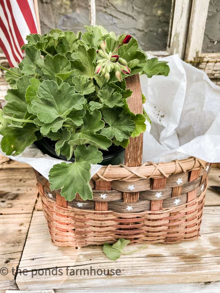 Add geranium to basket