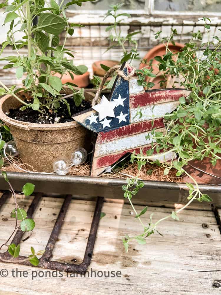 fresh herb centerpiece ideas for casual dinner parties.  