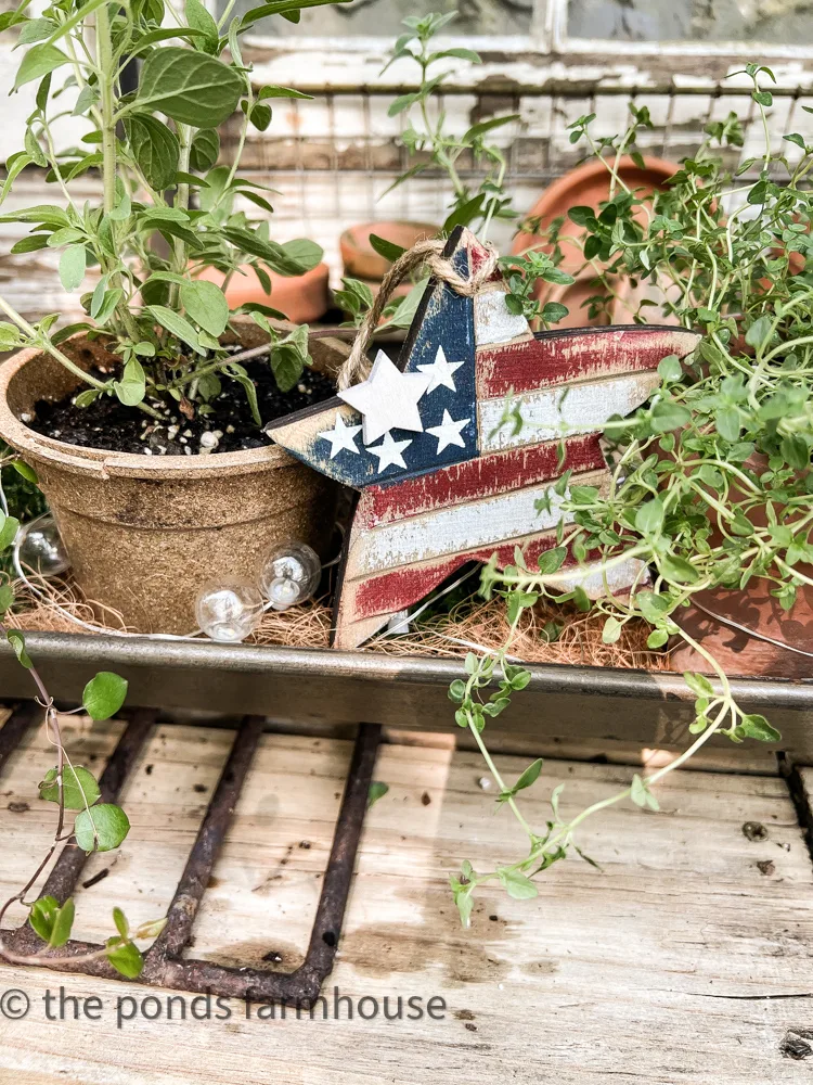 How to Make Herbal Centerpiece ideas. Patriotic accent peice 