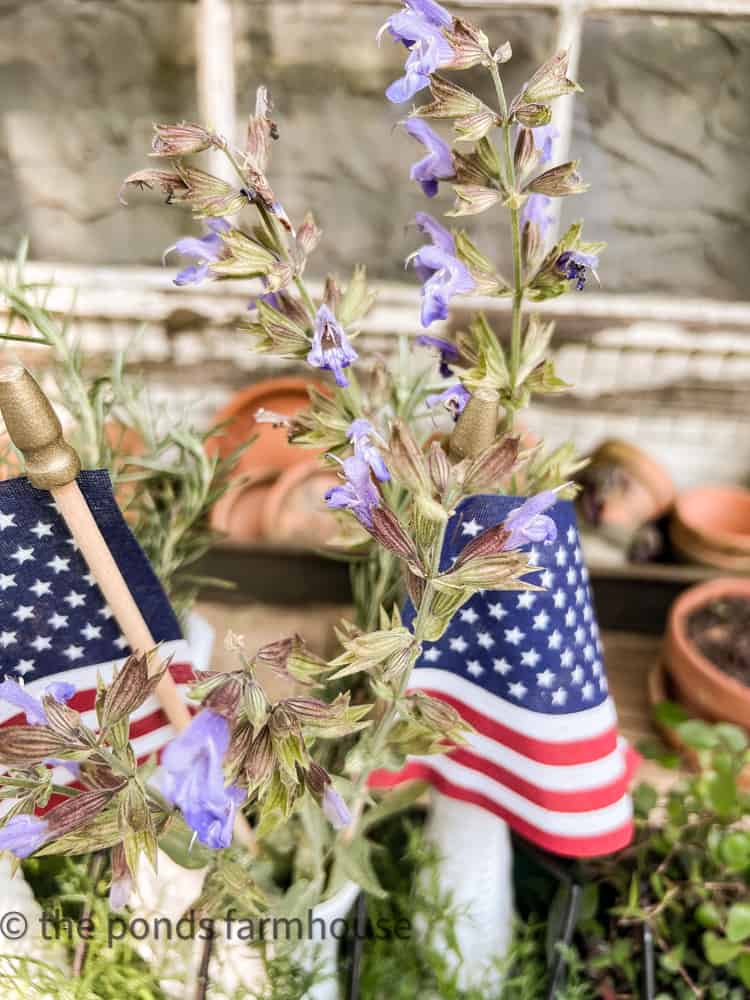 Cut fresh herbs to make centerpiece ideas, patriotic centerpiece, herbal centerpiece 