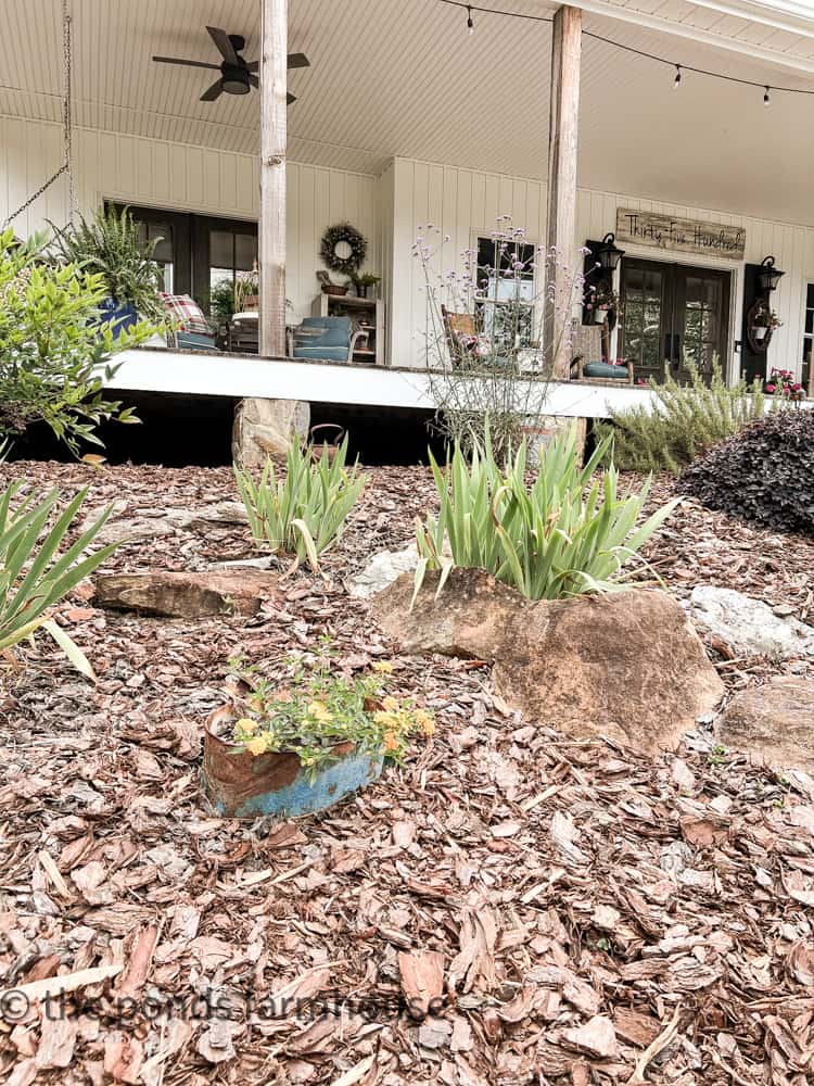 Using rusty galvanized tubs add interest to your landscape.  Flower planters out of old galvanized buckets and cans.