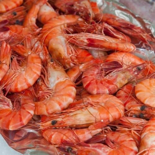 Shrimp for steam pot, Frogmore stew, shrimp boil. Large group recipes.