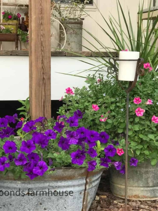 Galvanized Tub used as planter in front of farmhouse porch