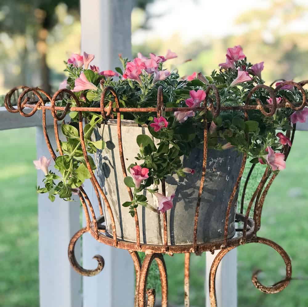 Rusty planter stand with galvanized pot. 