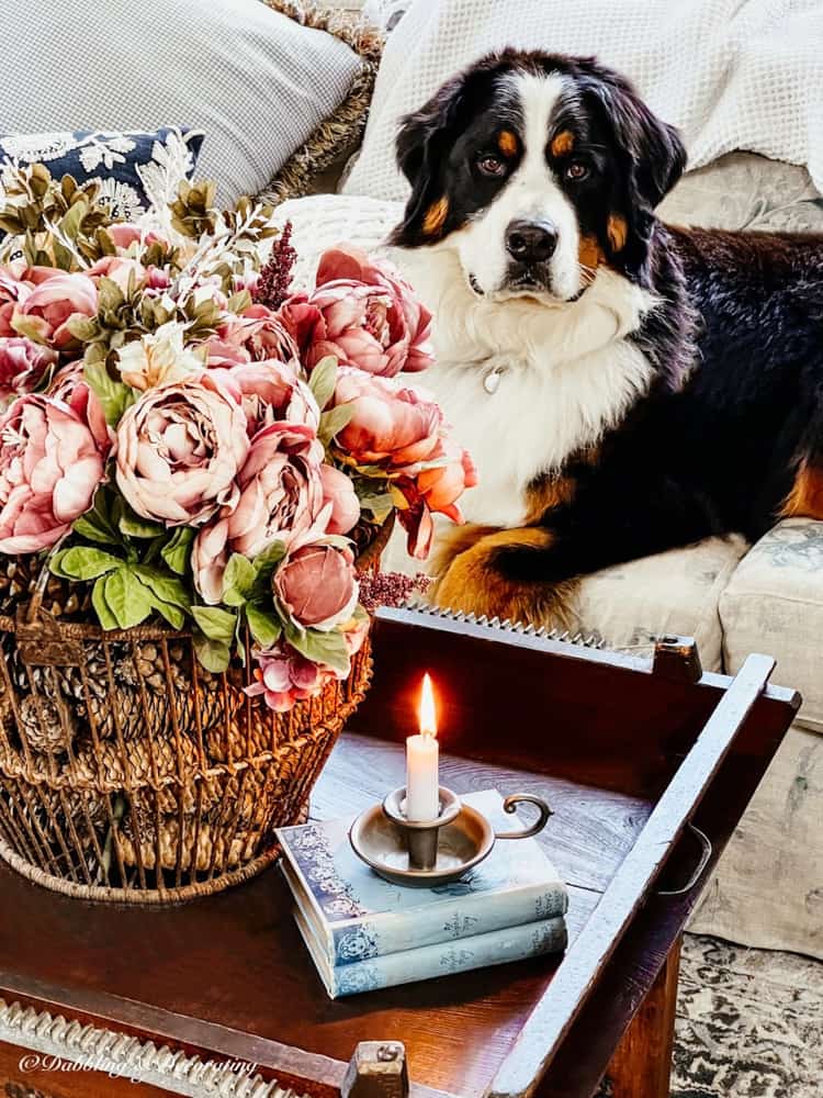 Vintage basket and brass candlestick with Ella 