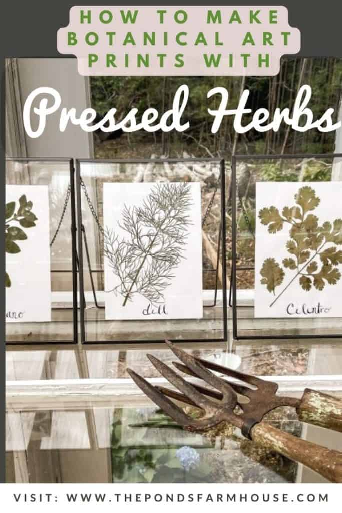 How to Press Herbs to make Botanical Art Prints.